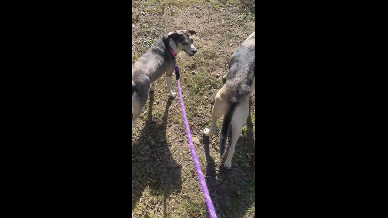 Don’t be a jackass.