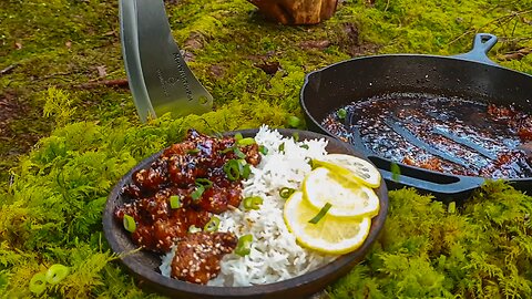 Honey Lemon Chicken Deep in the Woods Relaxing ASMR Cooking No Talking GeniusSri