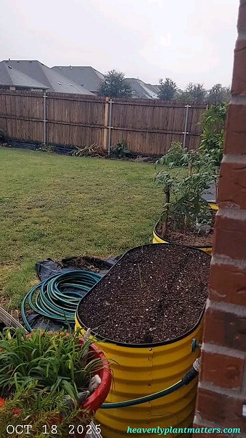 Afternoon Rain Halts Saturday Projects!