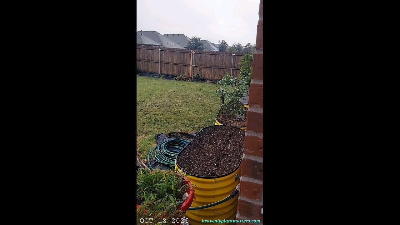 Afternoon Rain Halts Saturday Projects!