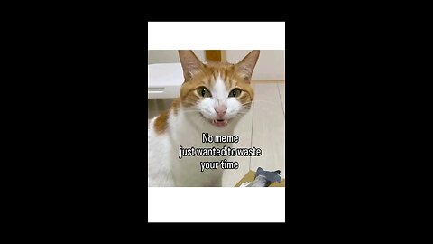 “When Life Gives You Funny Mood | Ultimate Meme Shorts”