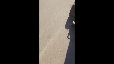 🇲🇩 MOLDOVA’S ELECTIONS TURN INTO HOSTILE EU COUP