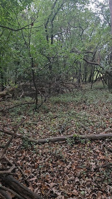 Are We Multiple People Inside Ourselves?