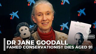Jane Goodall, conservationist and chimpanzee expert, dies aged 91