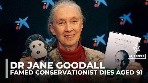 Jane Goodall, conservationist and chimpanzee expert, dies aged 91