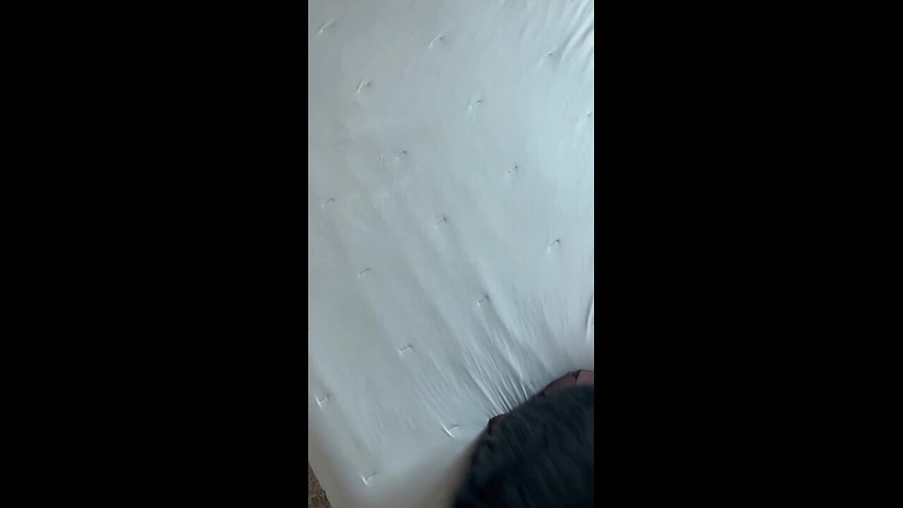 lazzy mood but Boobies 😻🍑🍑