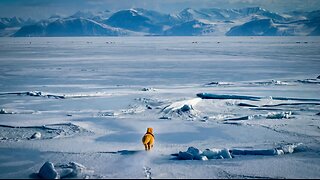 The Loneliest Horse on Earth (Documentary)