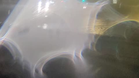 Todays rain Flooded the road in Kitchener