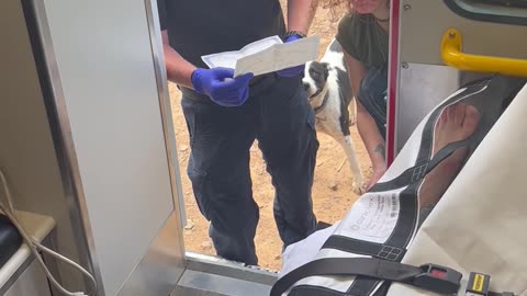 Unforeseen Circumstances Lead to Ambulance Wedding