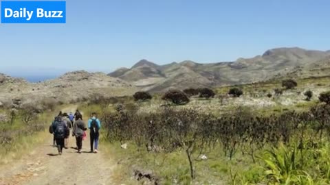 Bizarre Signal Hill Robbery Shakes Solo Hiker, Sparks Fresh Safety Warnings