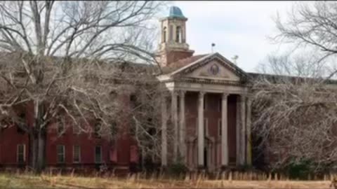 🜏 THE RESET ASYLUMS — Facilities of the Great Silence