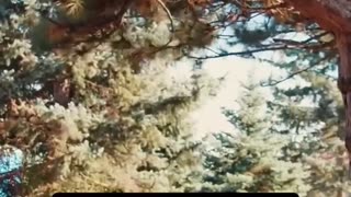 🤯🏃♂️ Imagine If Michael Myers Could Actually Run! | FunFM