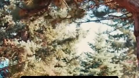 🤯🏃‍♂️ Imagine If Michael Myers Could Actually Run! | FunFM