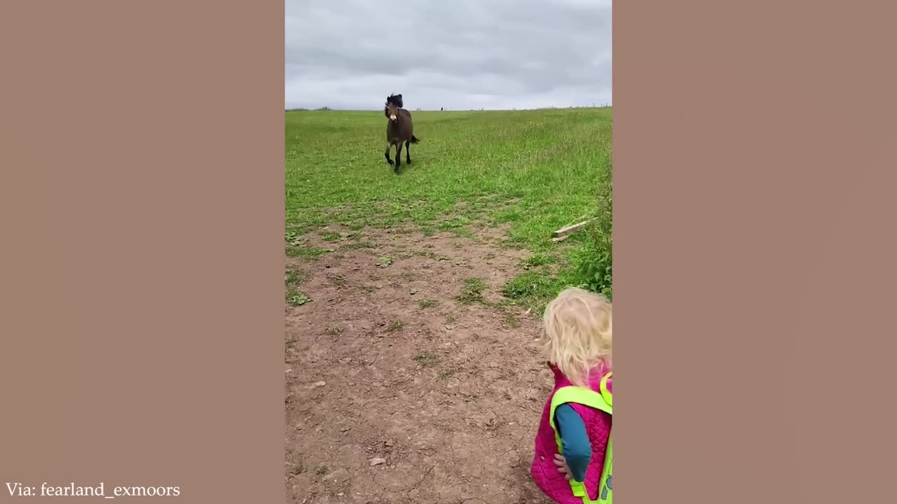 Funny comedy action love