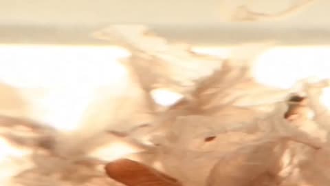 Daily Horoscope | Aquarius 🌟