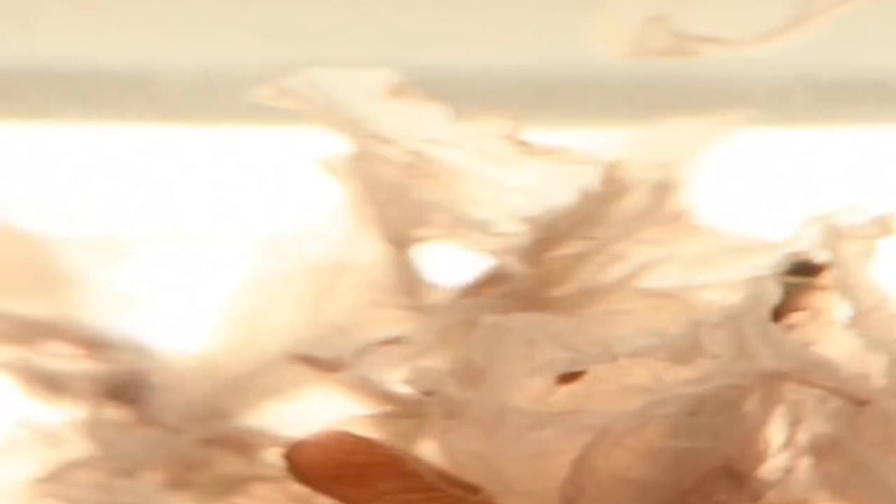 Daily Horoscope | Aquarius 🌟