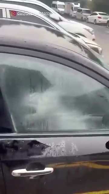 Stumble & Bumble: A Collection of Hilarious Falls