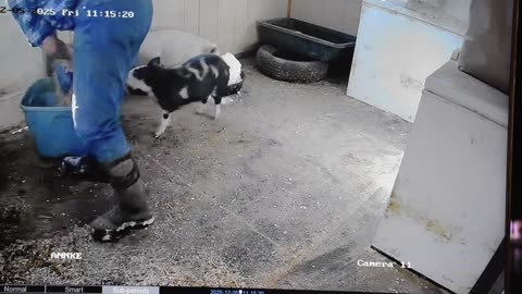 Becky and Morgana helping to clean their room PT 1