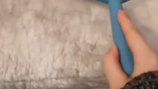 😂🐾 You Won't Believe This Hilarious Animal Moment! | FunFM