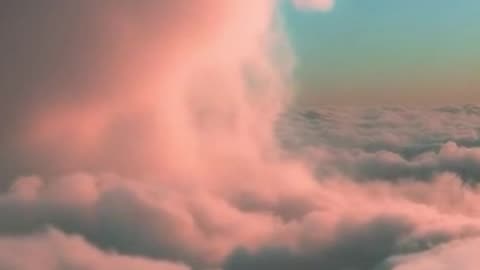 You Booked the Cheapest Flight Online ✈️🛏️😱 #Funny #aholidaytour