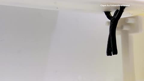 Shapeshifting robot swings and reshapes under electric fields