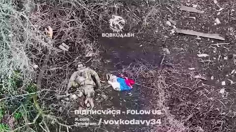 Seems Very Patriotic... Maybe His Family Will Receive An Extra Loaf of Bread for This