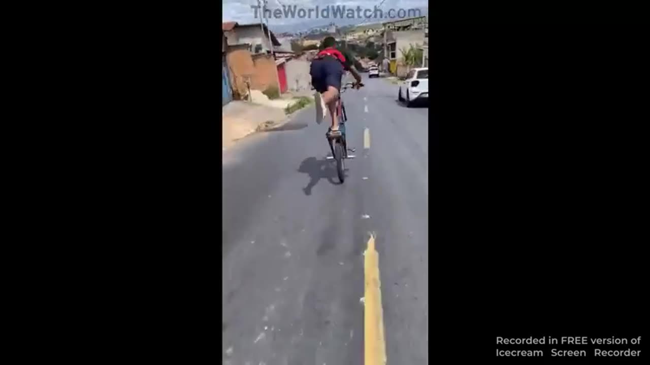 this monkey ass nigger is stupid as fuck