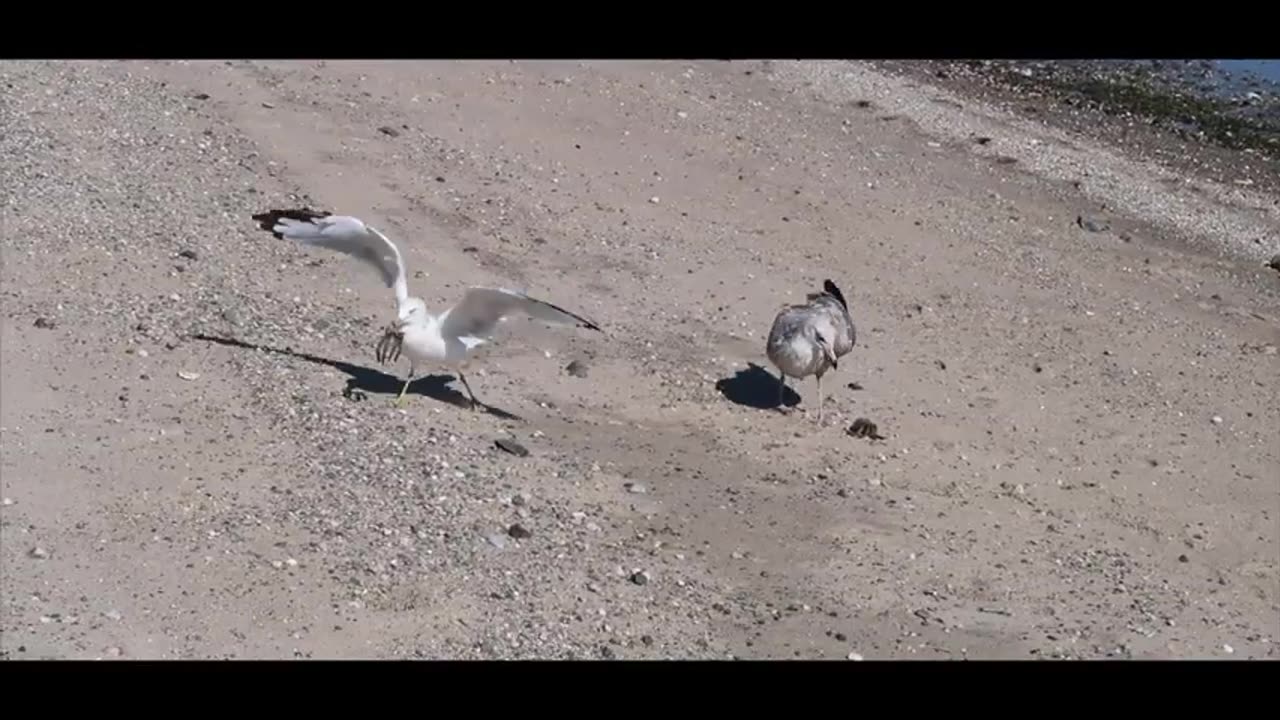 i lied about this ...