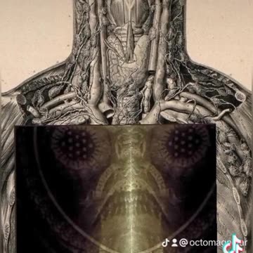 HAPPY BIRTHDAY JACOB