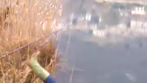 Fishing for Fun, Caught Chaos 🎣😂 | Hilarious Fishing Fails”