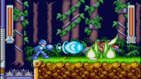 Megaman & Bass Burner Man No Damage