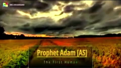 Greetings /Peace / Salam