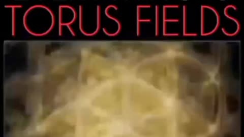 Everything is Torus Fields