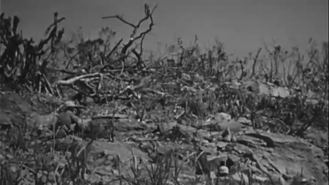 Marine activity (Iwo Jima) - Marine activity (Iwo Jima) - 428-npc-8597