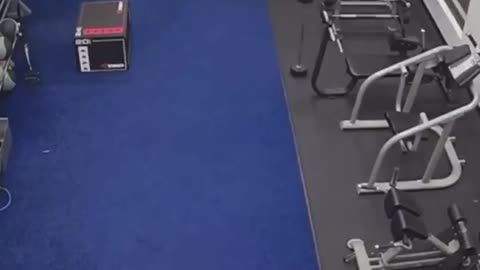 Tyqueesha Gym Chimpout 4 Diversity