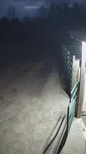 Farm CCTV Caught This Dog’s Reaction #CCTV #DogReaction #RealFootage #SecurityCamera