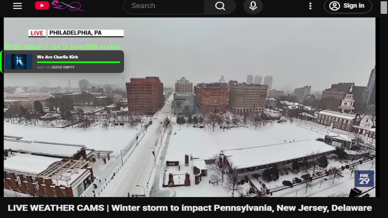 Snowstorm Live ❄ Real-Time Cam