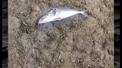 😱👻 You Won't Believe What They Caught on Camera! Creepy Paranormal Videos | TheHauntingHour