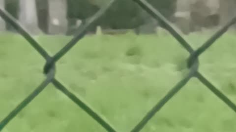 Passers by just need to walk round and round footing yet looking at me