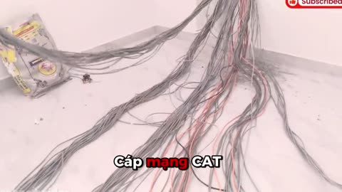 Cáp mạng CAT6 Hikvision DS-1LN6UZC0 - An toàn dữ liệu vận hành không gián đoạn