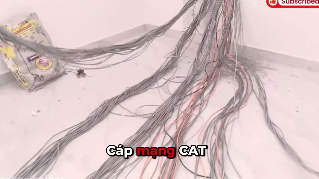 Cáp mạng CAT6 Hikvision DS-1LN6UZC0 - An toàn dữ liệu vận hành không gián đoạn