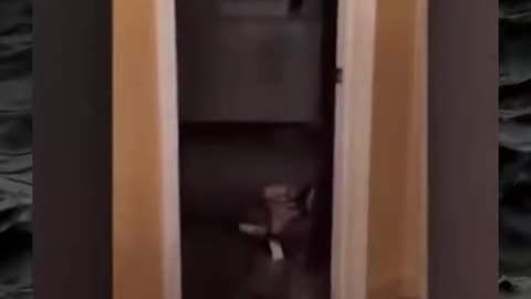 😨👻 Unsettling Paranormal Evidence Caught on Camera! | TheHauntingHour