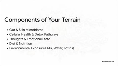 Human Terrain Theory II EN