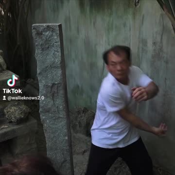 Amazing kung-fu master