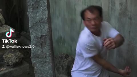 Amazing kung-fu master