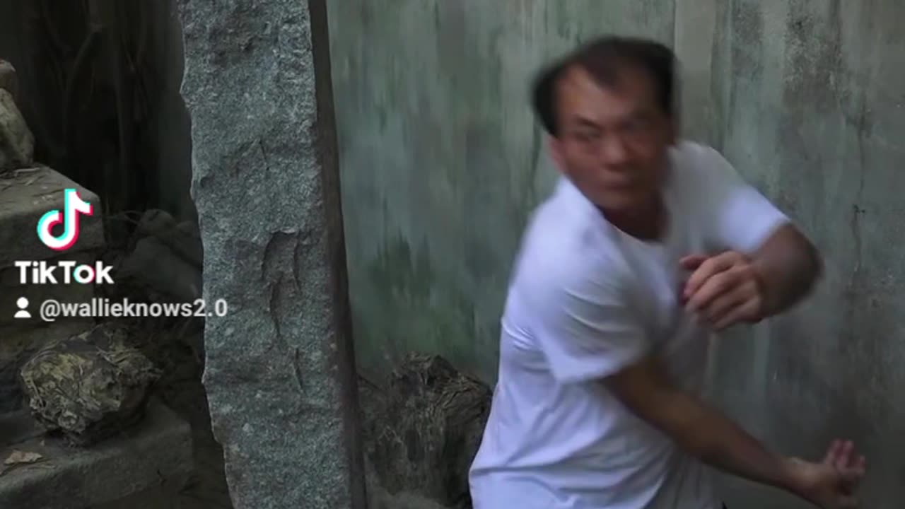 Amazing kung-fu master