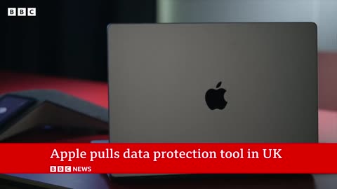 Apple pulls data protection tool after UK government security row