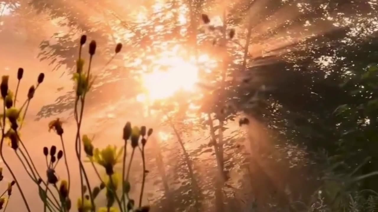 God Leads Us Along