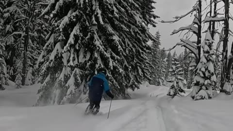 Skiing on a Powder Day!