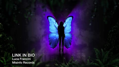 Misinfo Records - Link In Bio